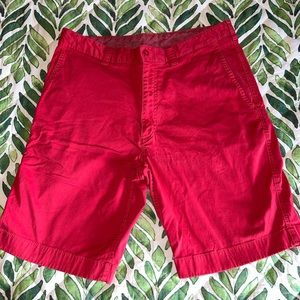 Cremieux Cotton Shorts size 34